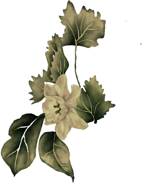 beautiful botanical floral grapes bouquet