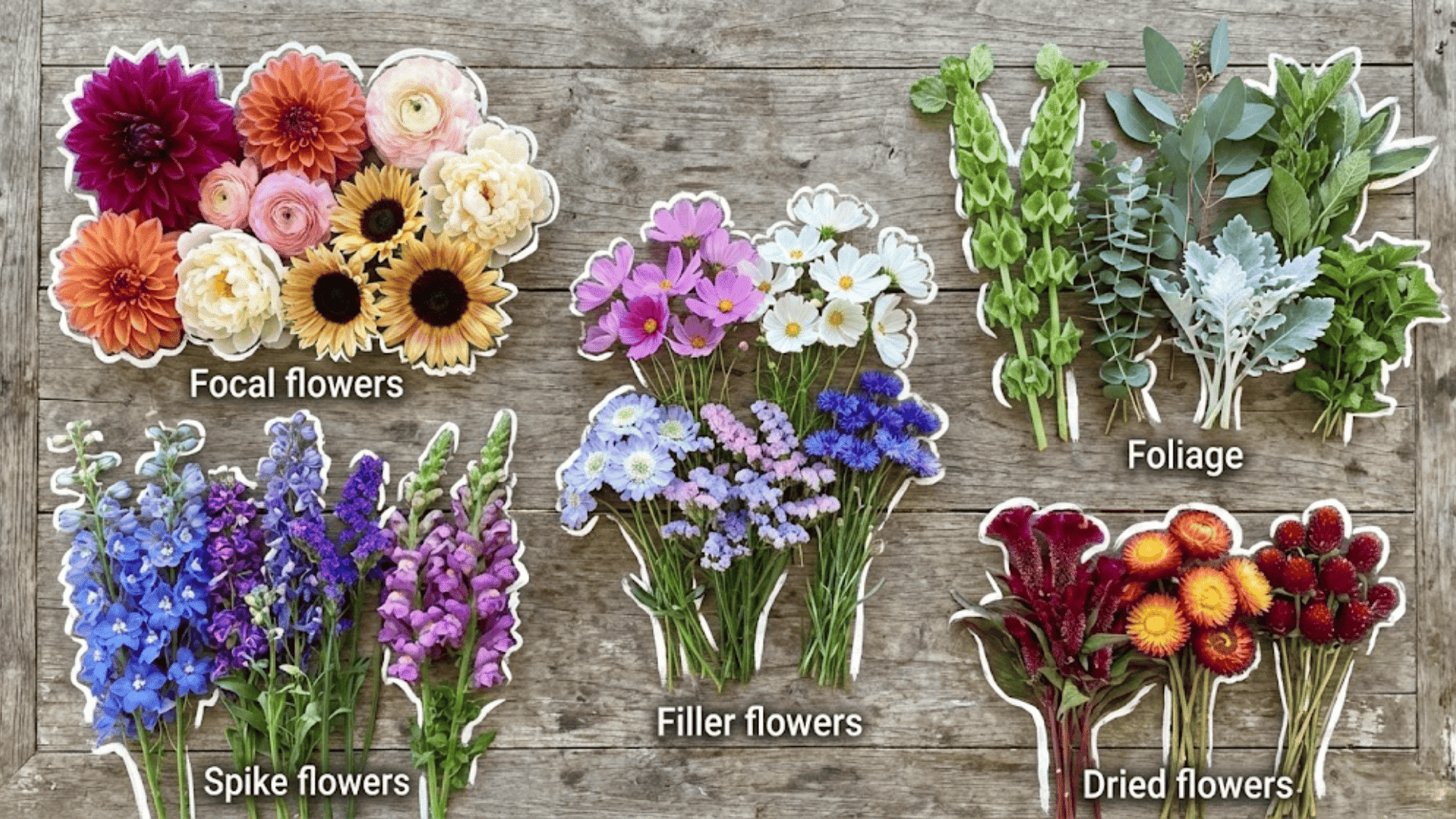 best cut flowers to grow