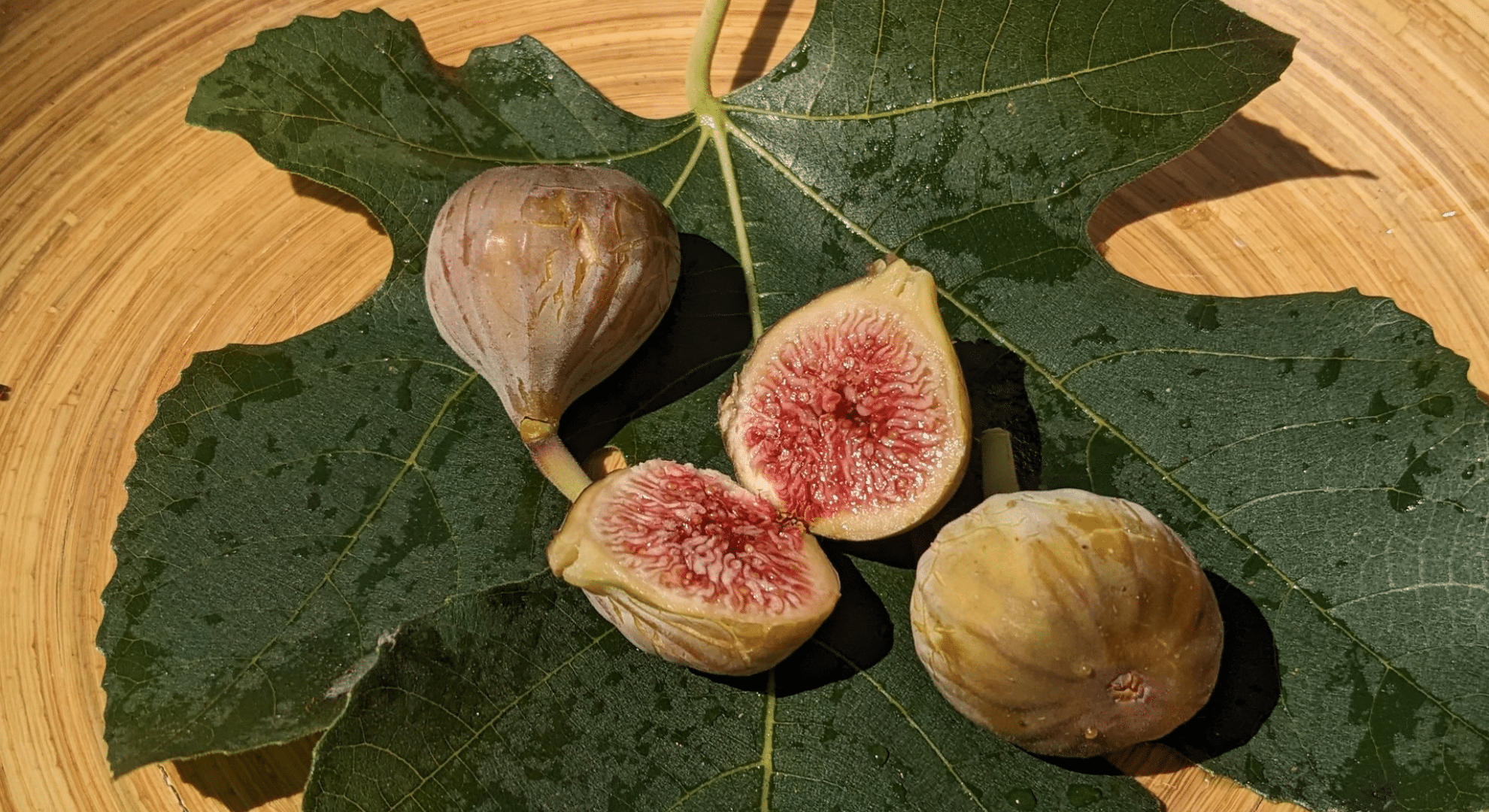 brown turkey fig displaying pinkish flesh