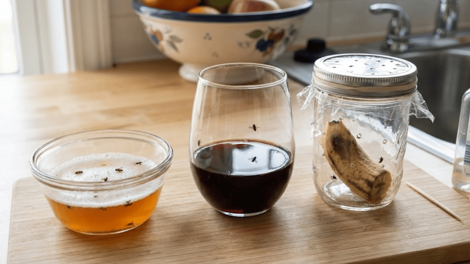 Picture of Where Do Fruit Flies Come From: Causes & How to Stop Them - Seed Sheets