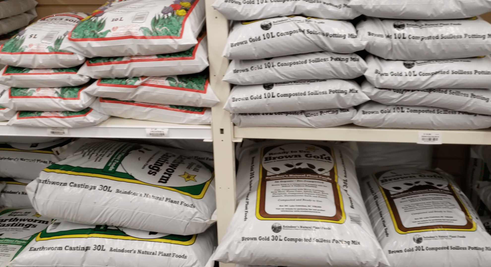 fill with a balanced potting mix