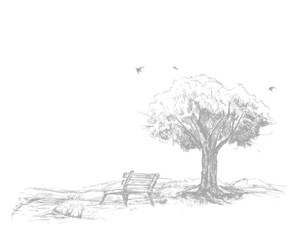forest park alley landscape isolated trees silhouette