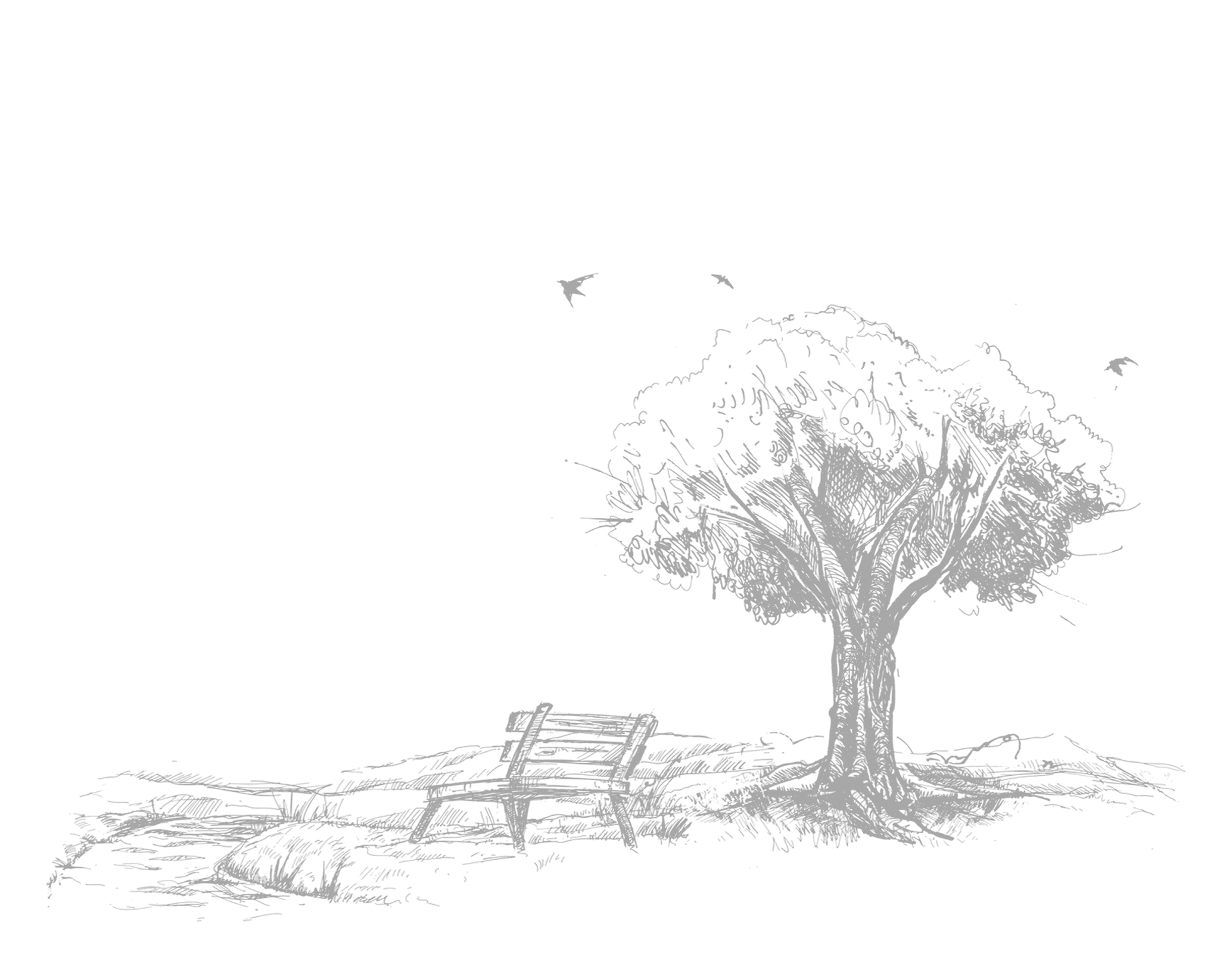 forest park alley landscape isolated trees silhouette