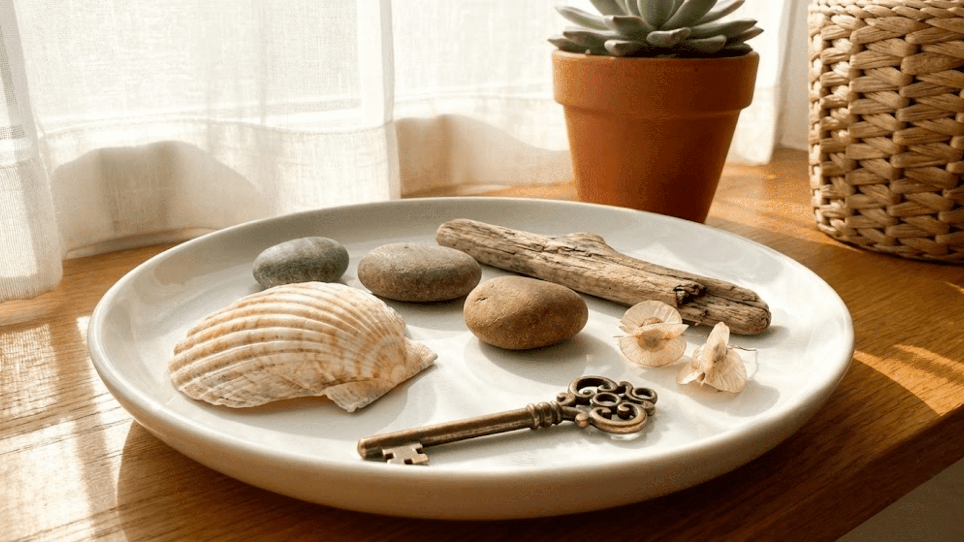 found object displays