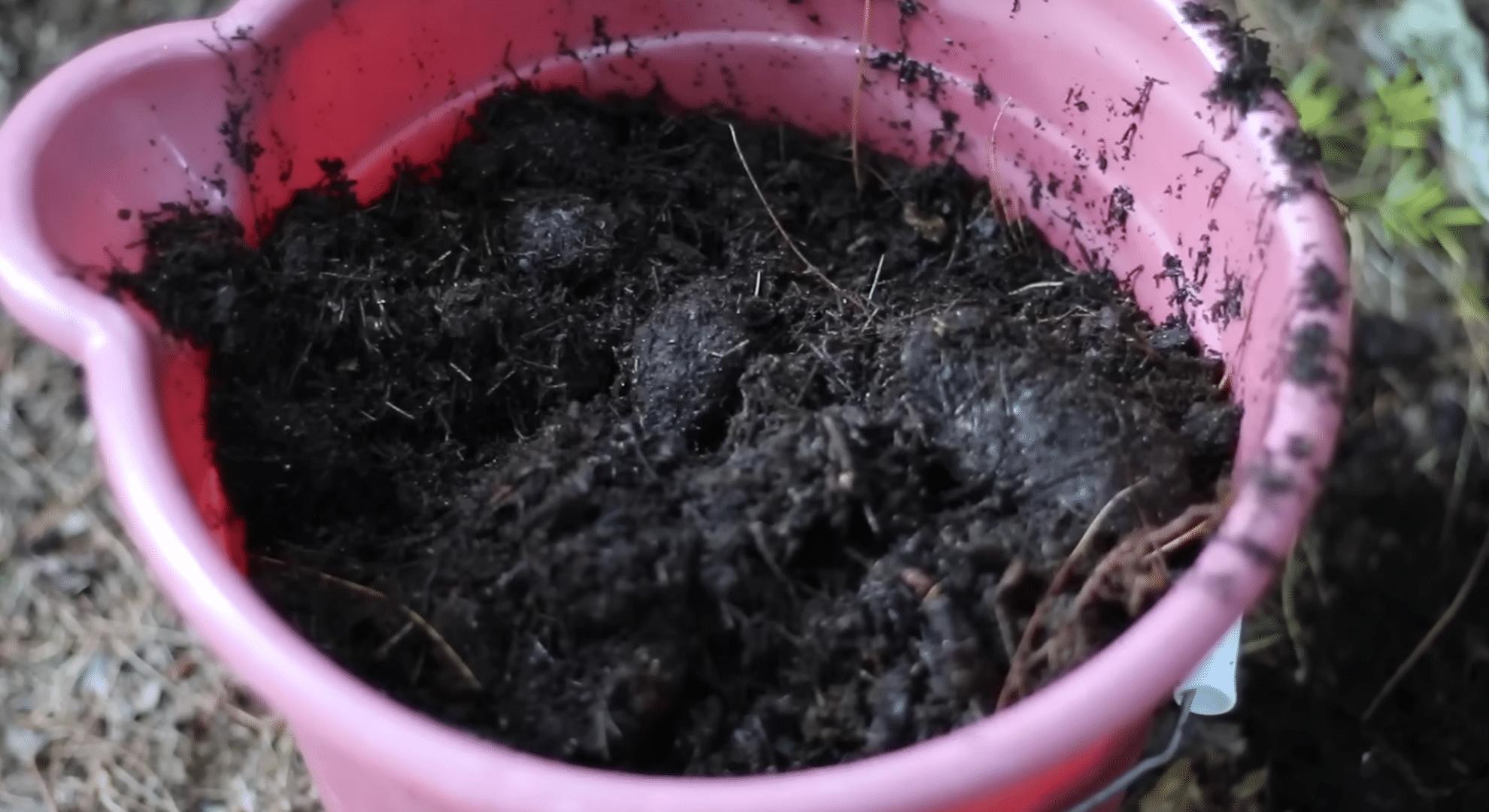 get your soil ready
