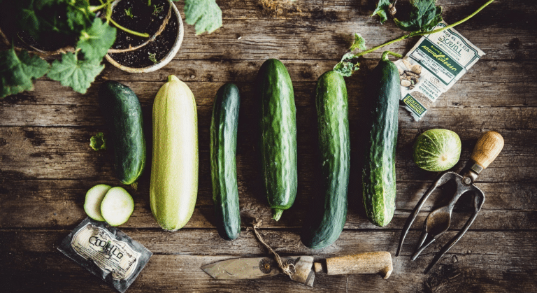 guide to different types of cucumbers