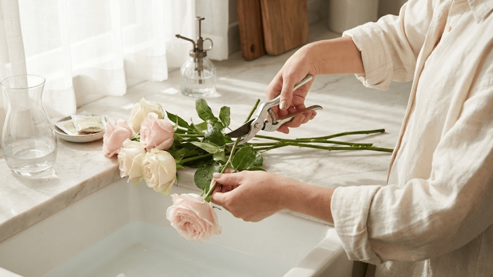 woman trimming rose stems with pruning shears over a sink, fresh pink and white roses on marble counter