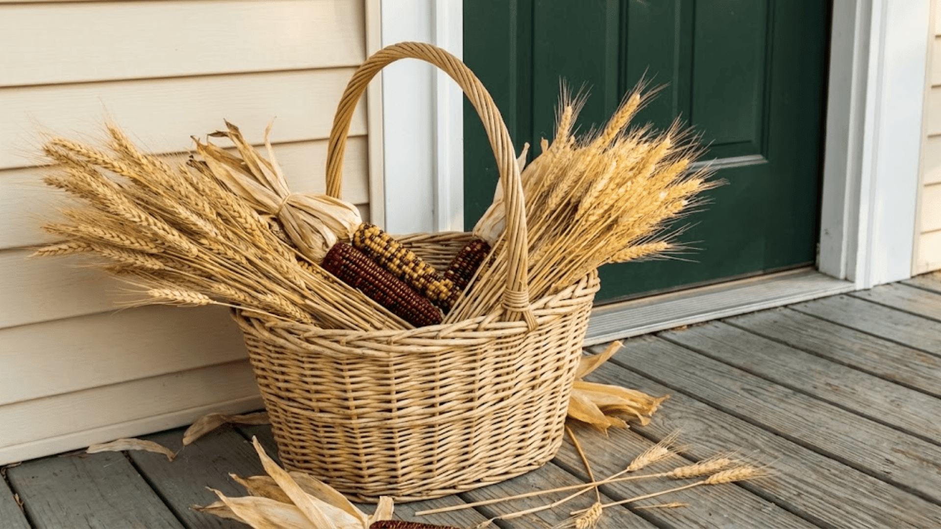 harvest basket with corn or wheat