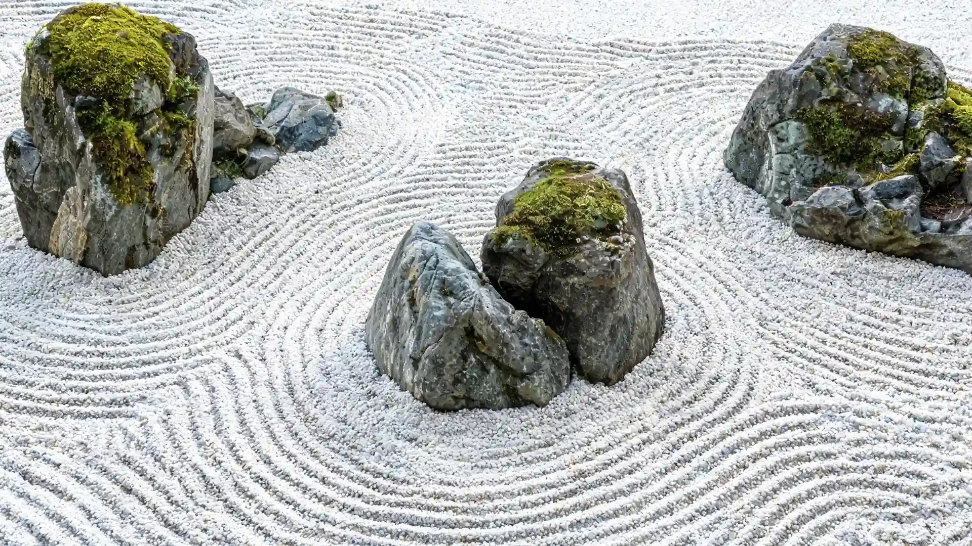 japanese rock garden with moss covered stones surrounded by raked white gravel in wave patterns