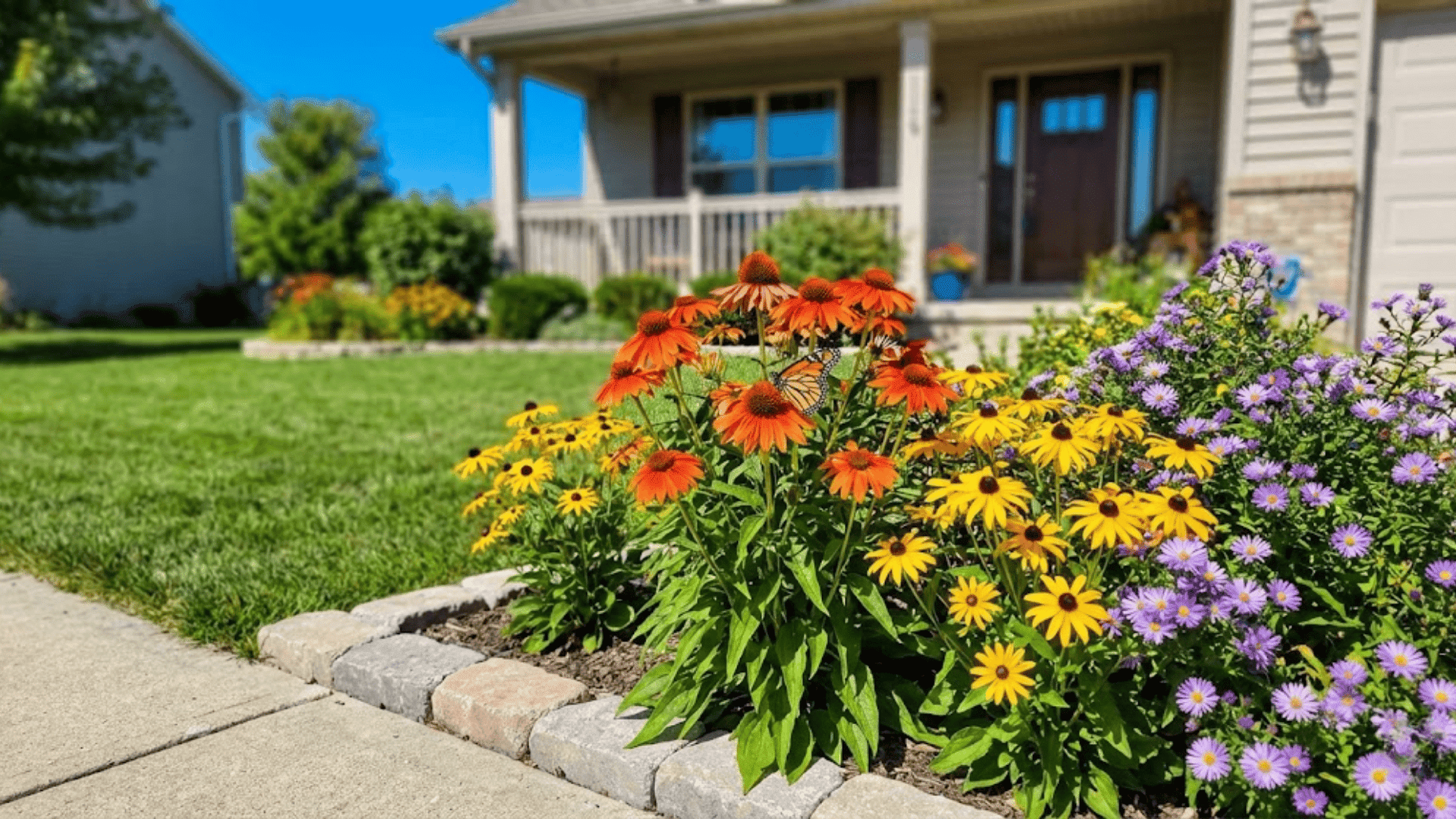 low maintenance native pollinator bed