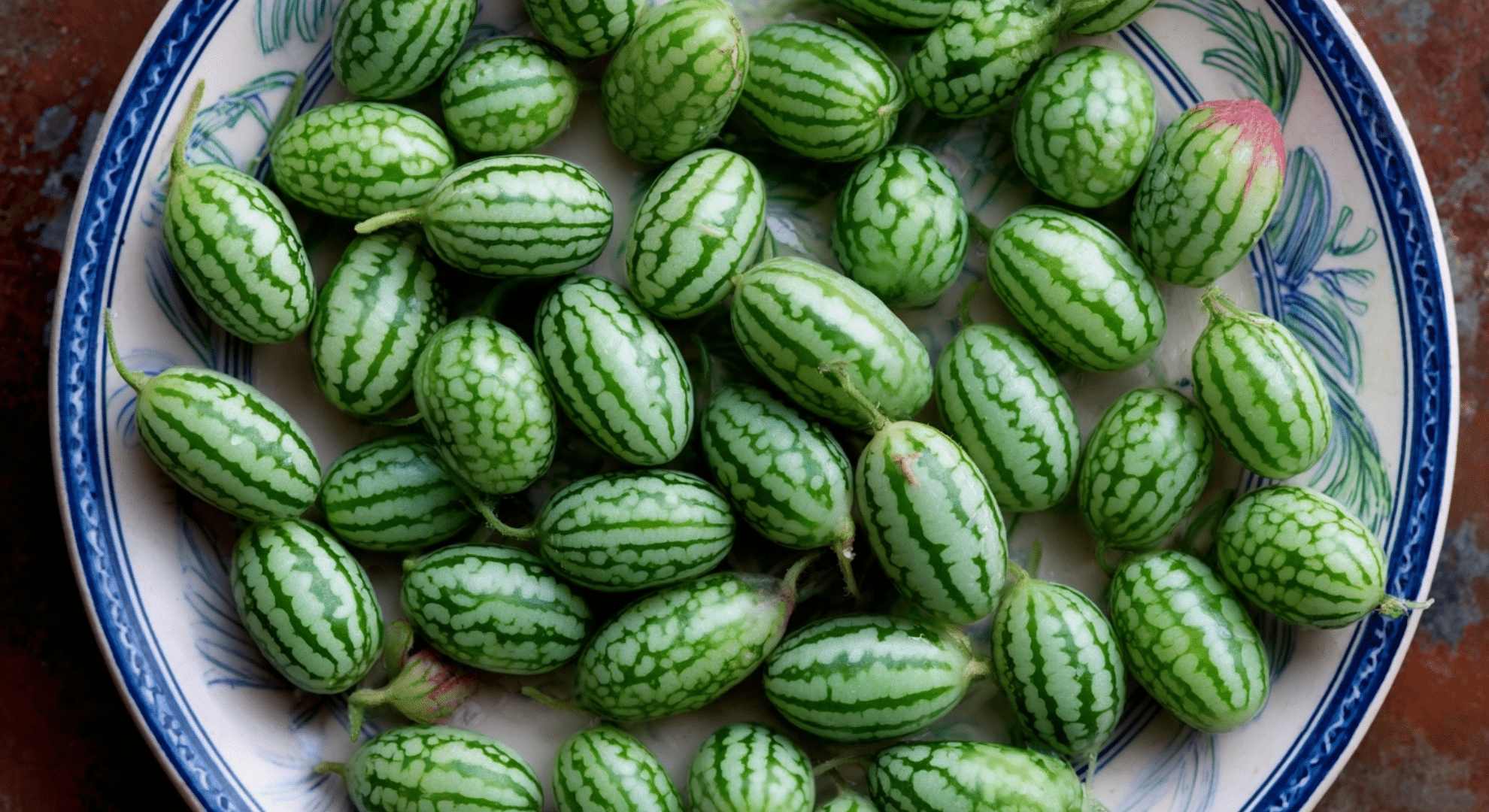 mexican sour gherkin cucamelon