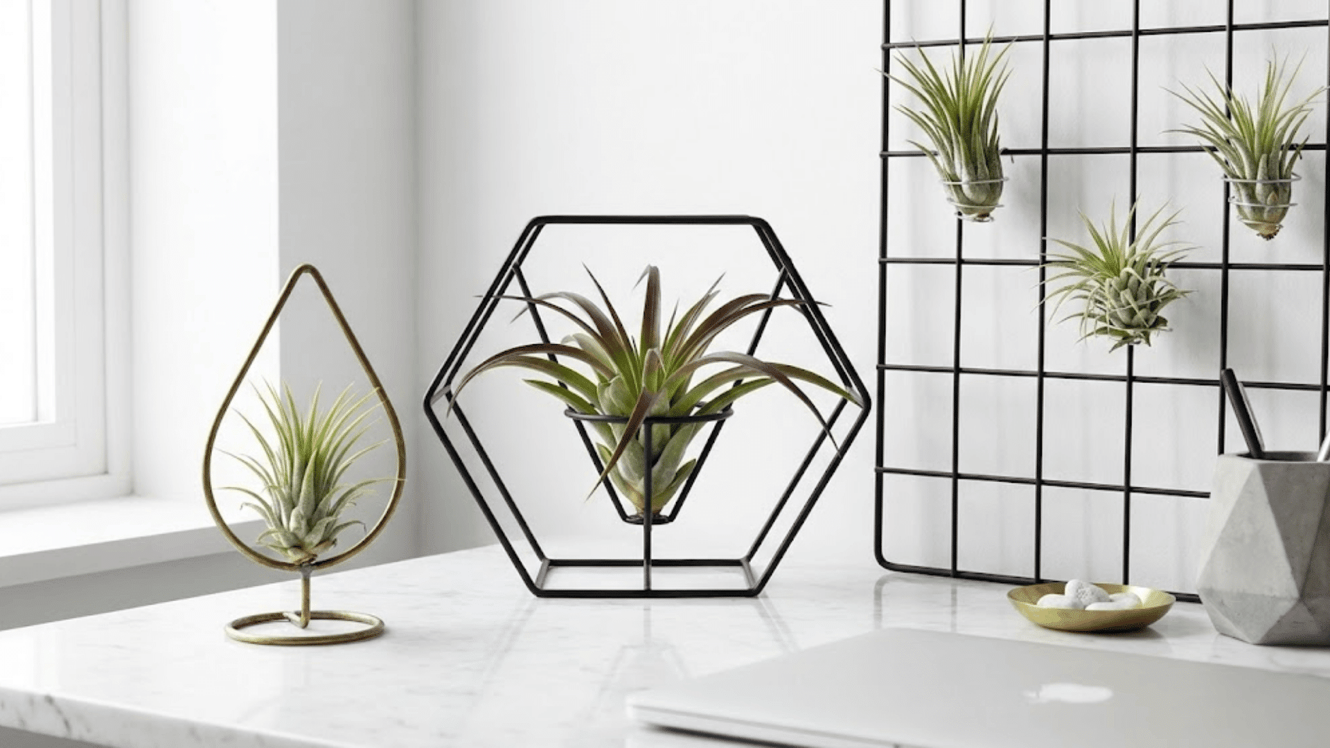 modern and geometric holders
