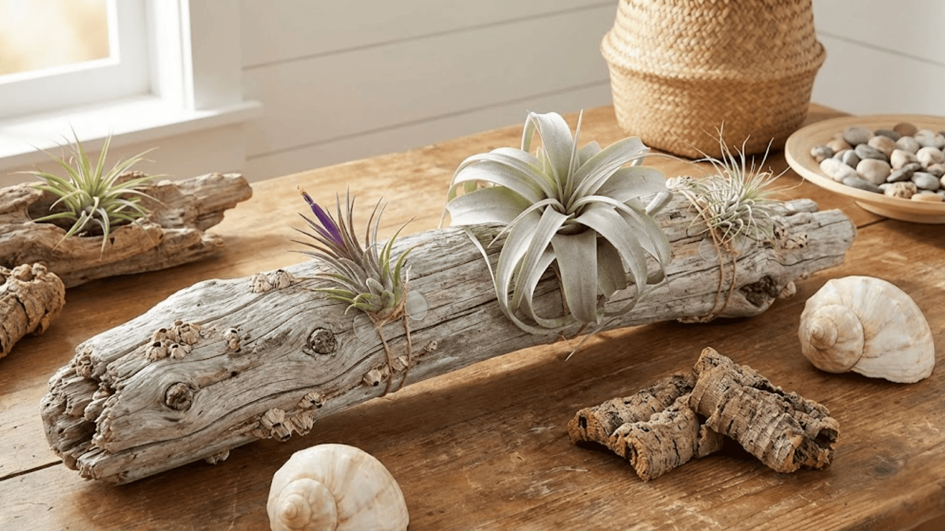 natural elements