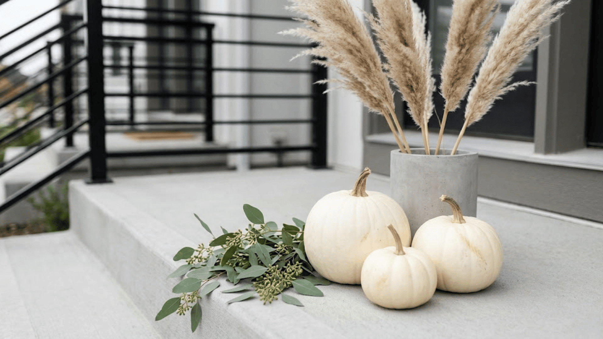 neutral or white pumpkin displays