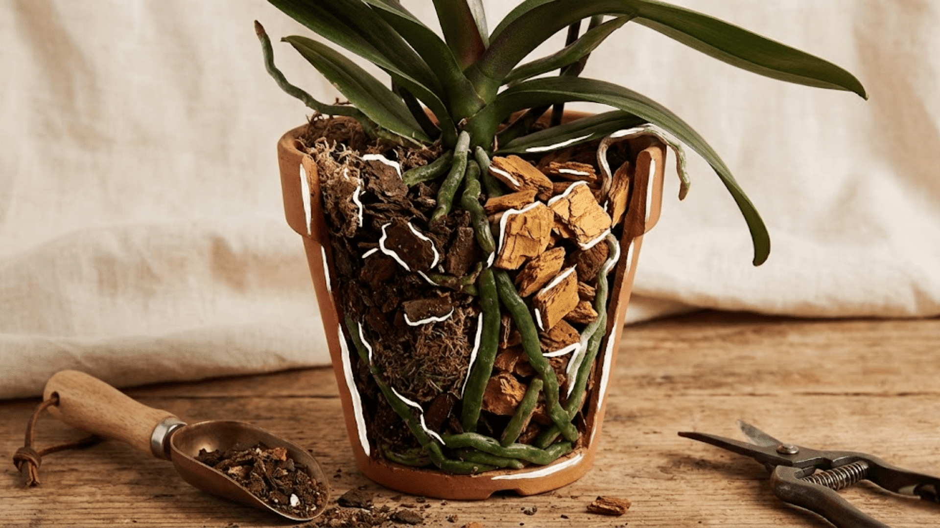 potting media breakdown