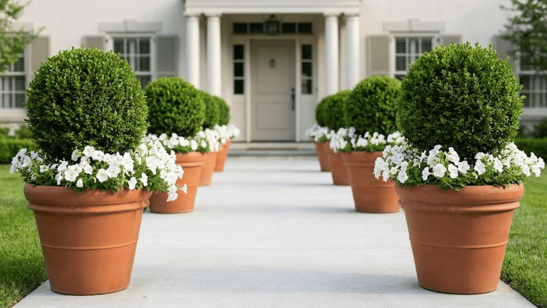 repeating pot clusters leading to front door