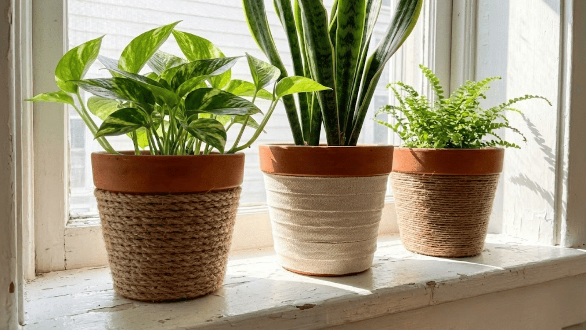 rope or fabric wrapped planters
