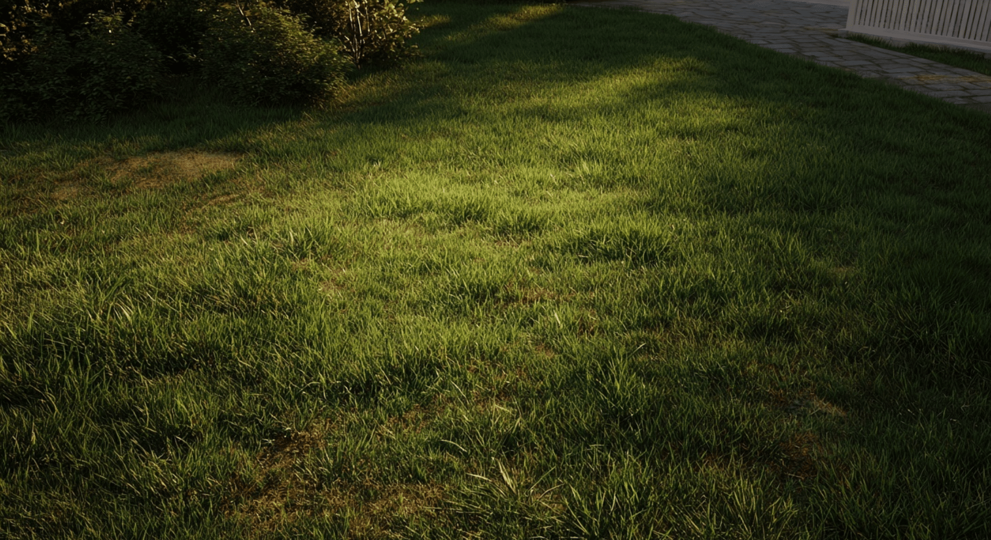 seeding overseeding or patching