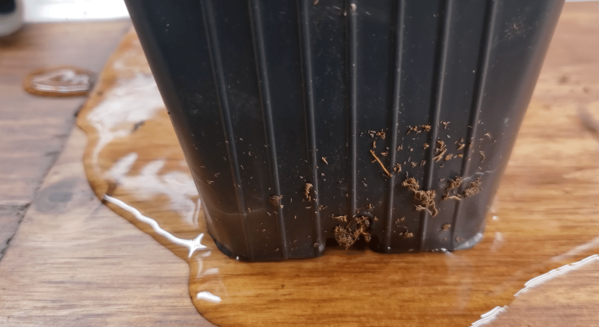 set up containers with drainage