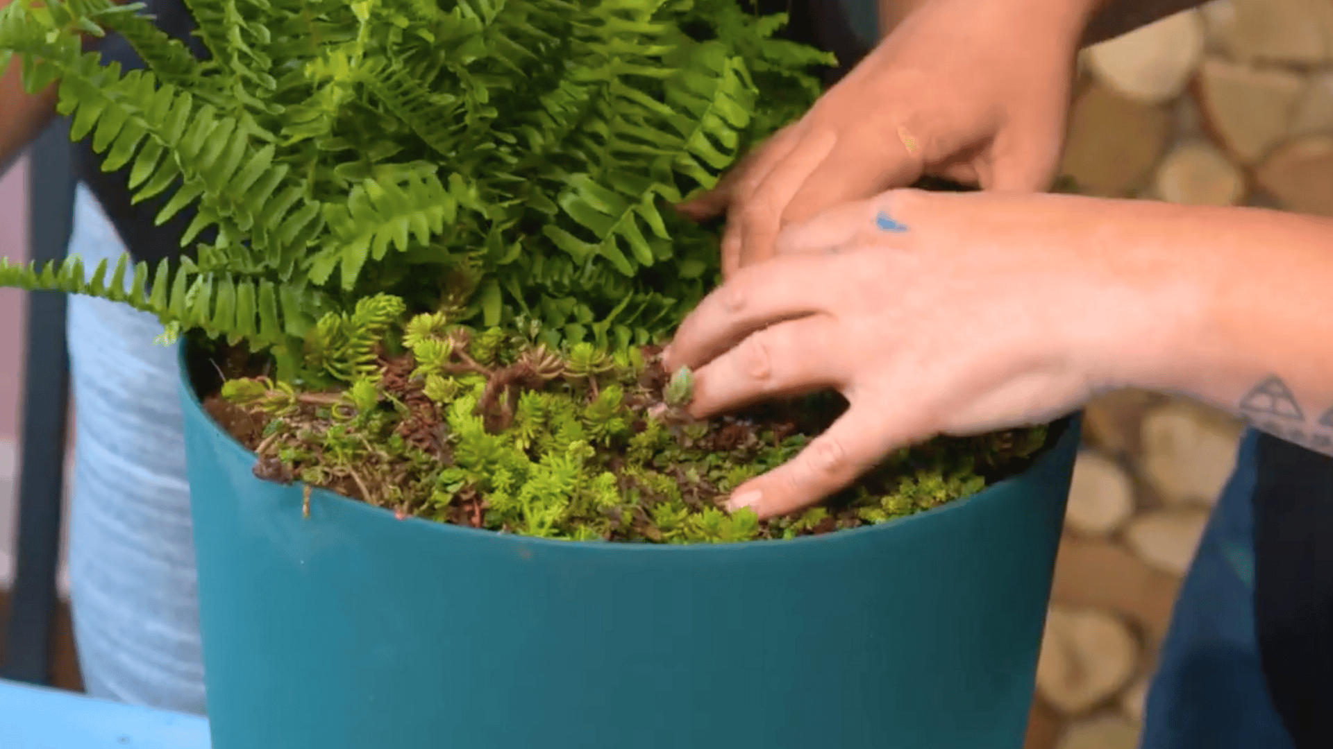 step 4 plant your greenery strategically