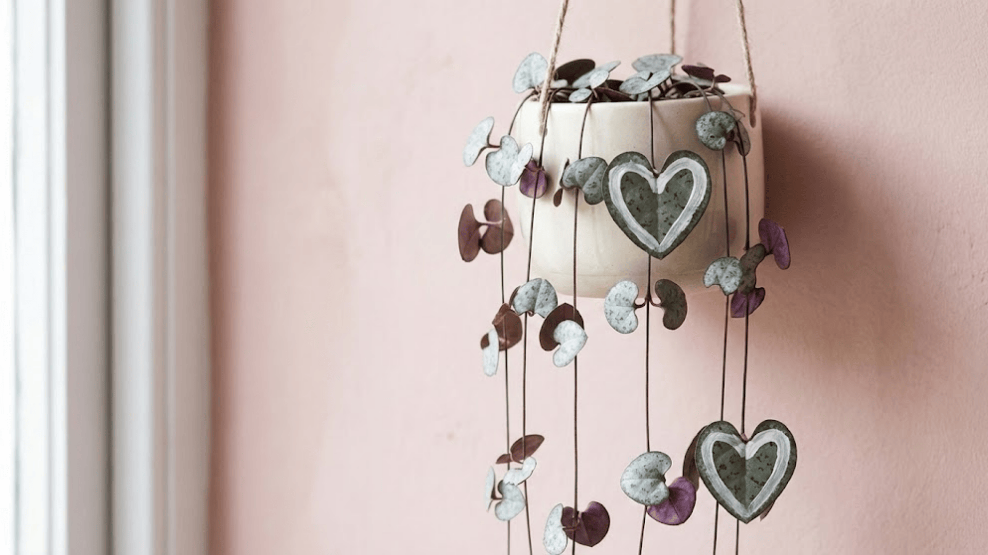 string of hearts