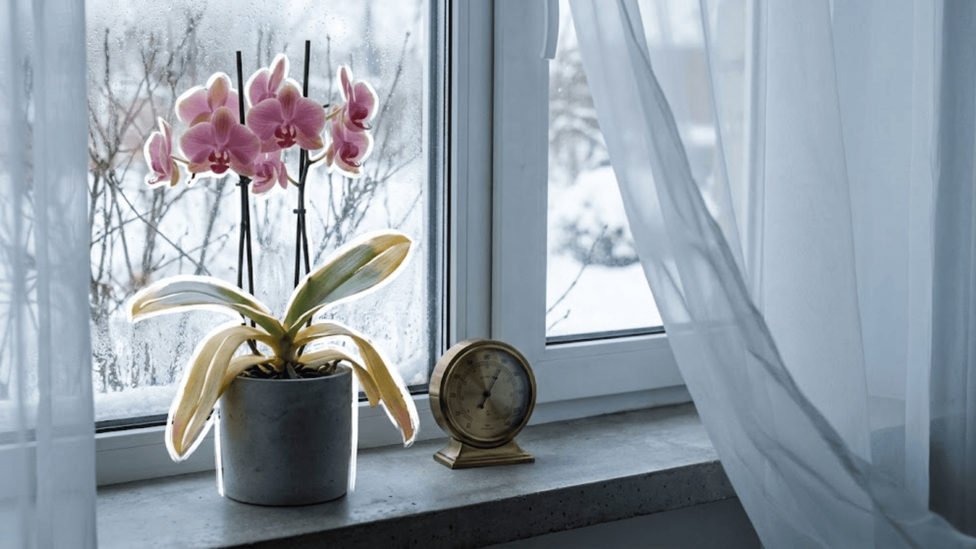 temperature stress and drafts