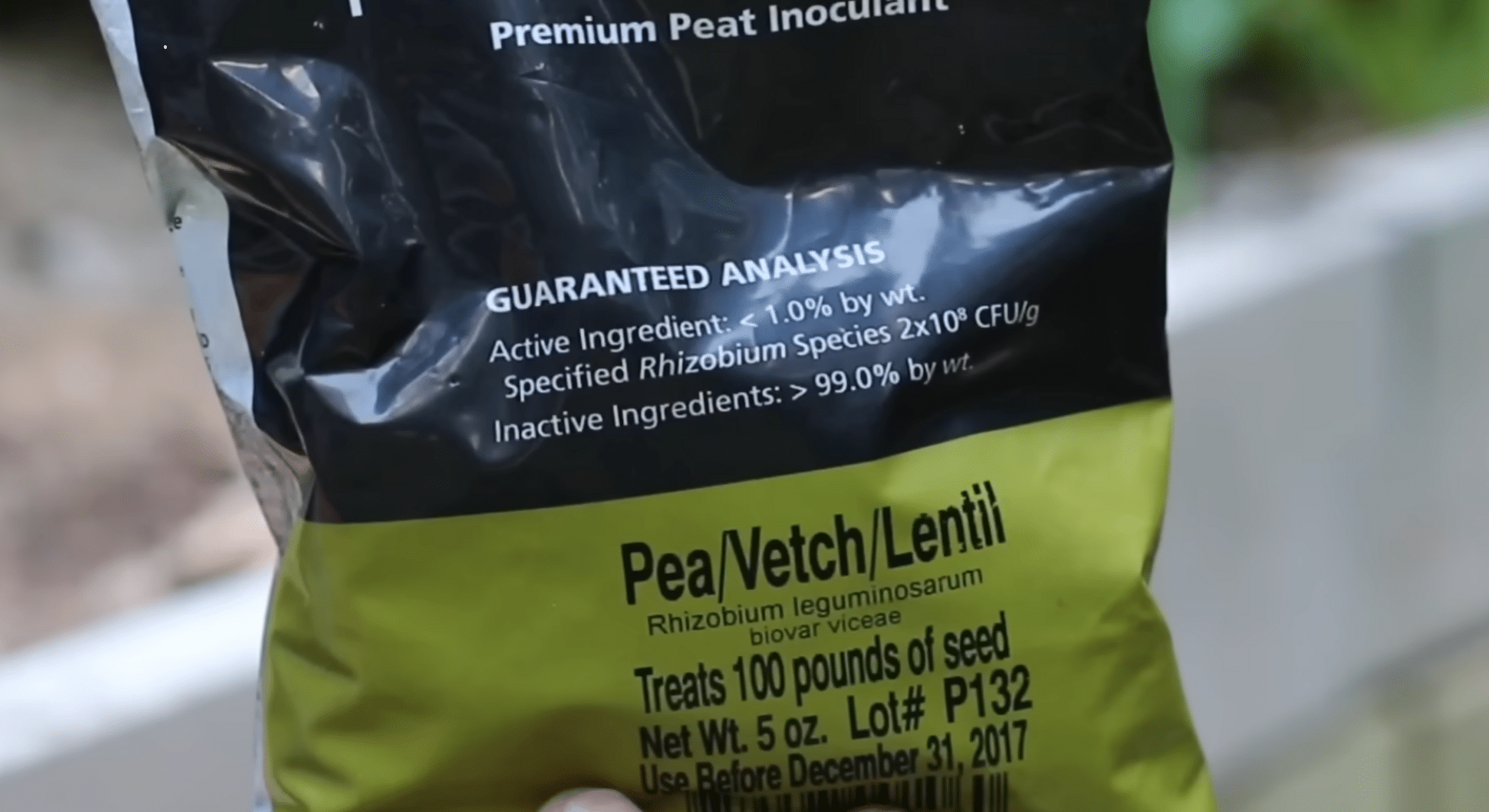 use inoculant to help beans grow