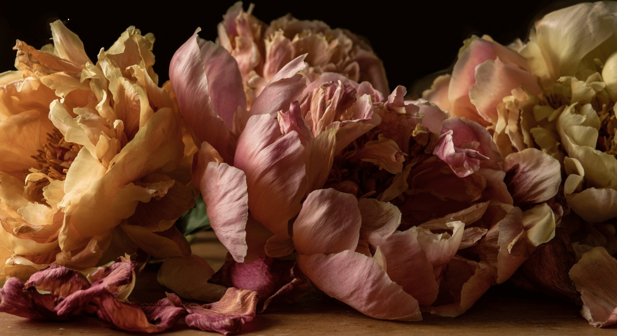 when peonies bloom after planting