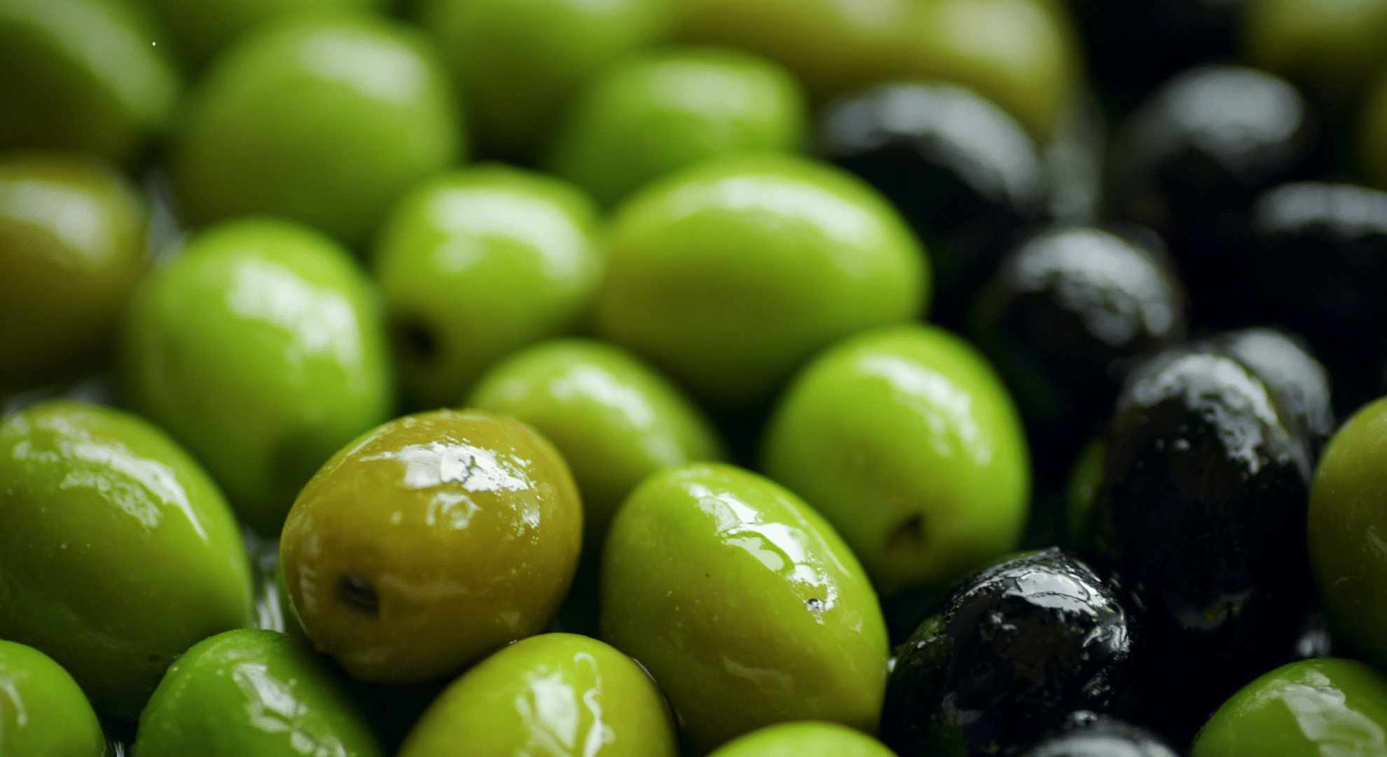 Why Some Olives Are Green and Others Are Black