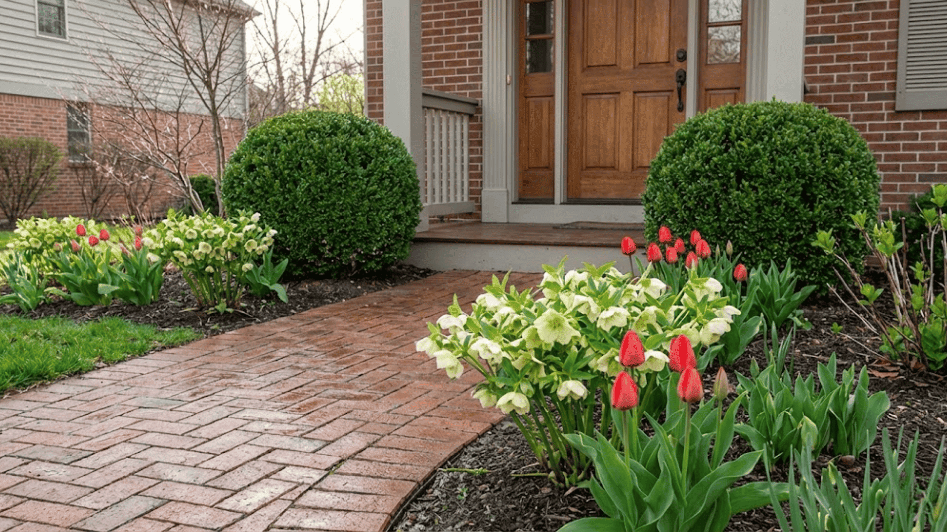 year round evergreen seasonal bloom mix