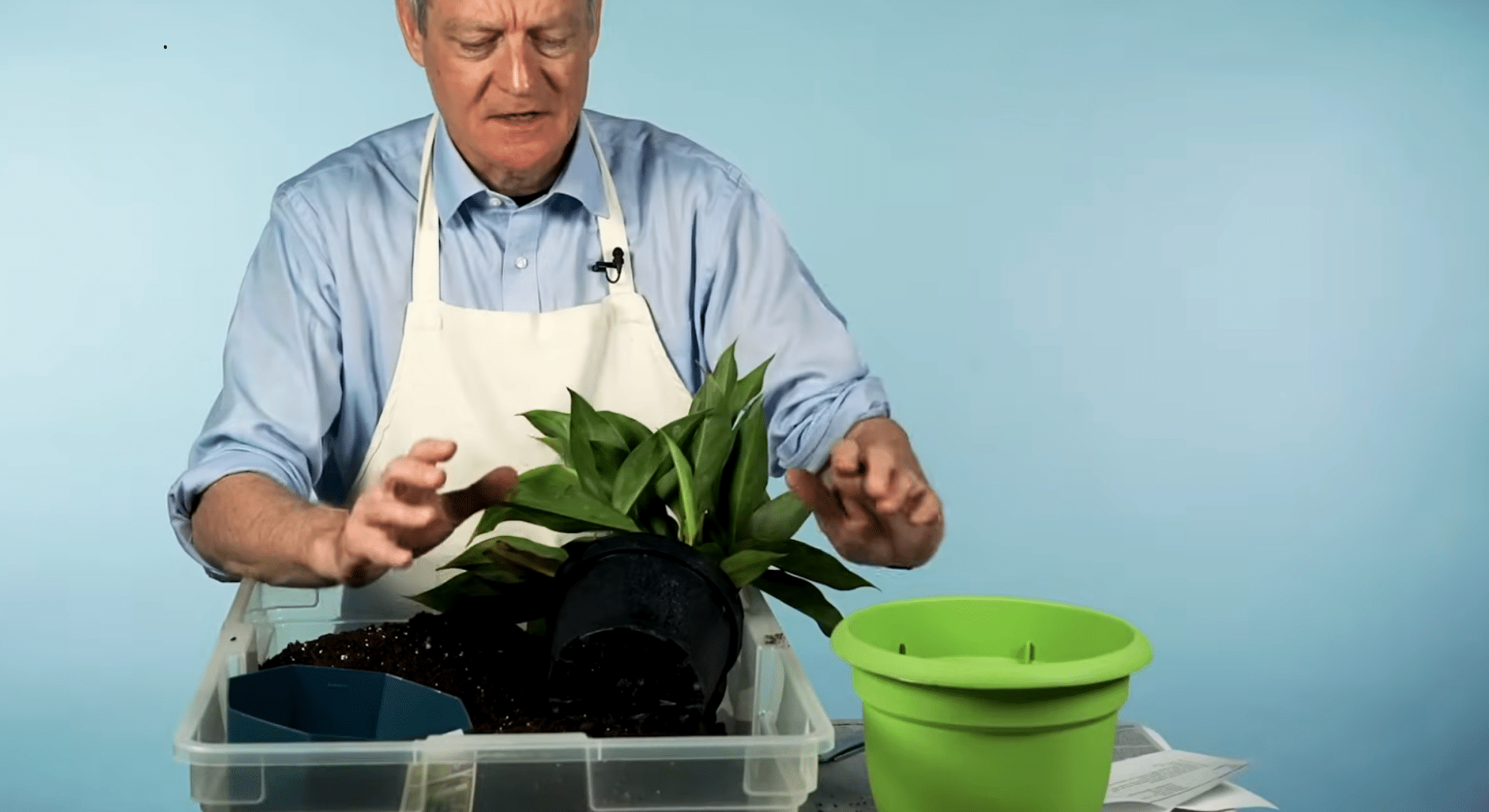 choose a slightly bigger pot