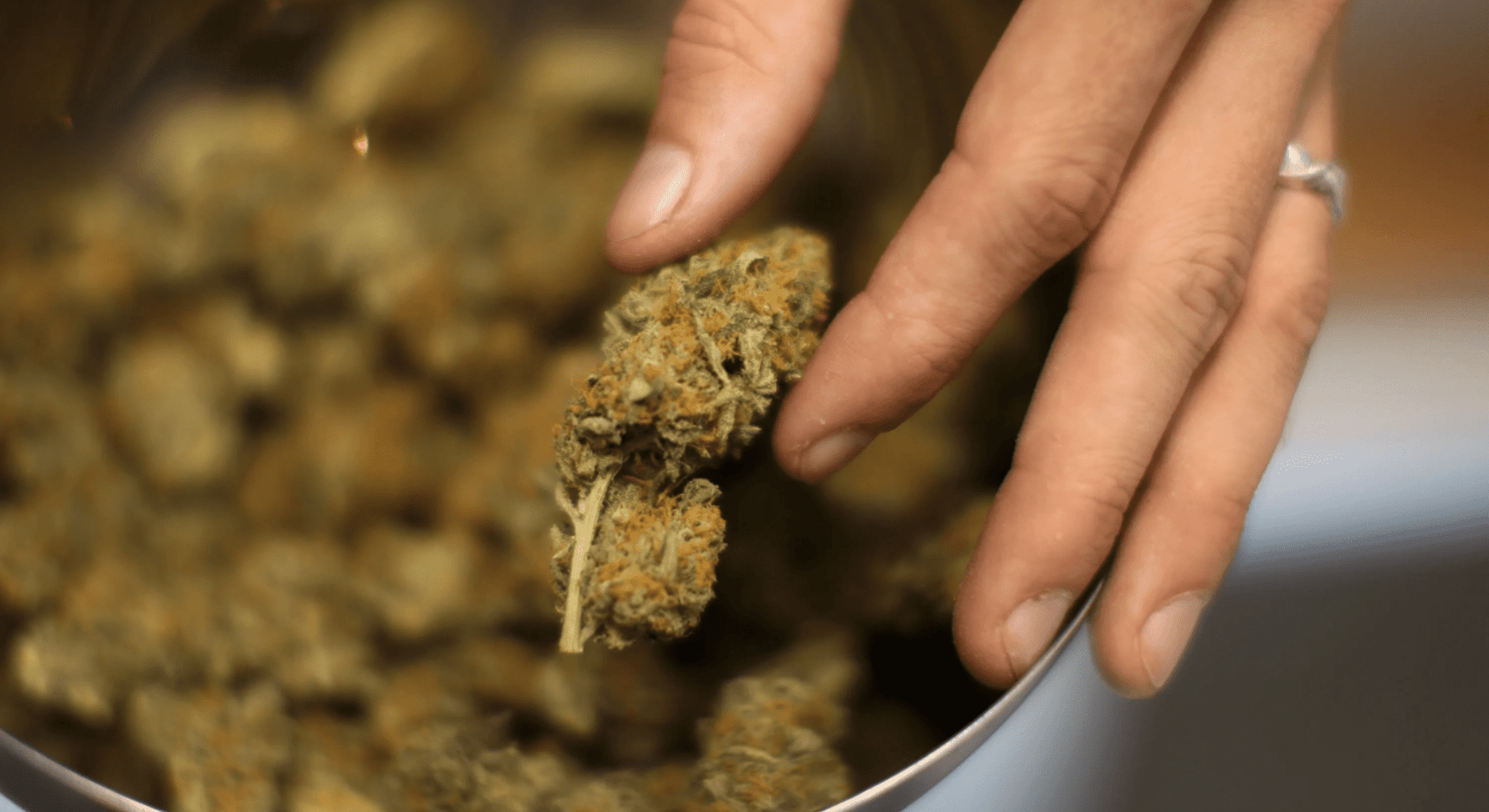 how to identify sprayed weed