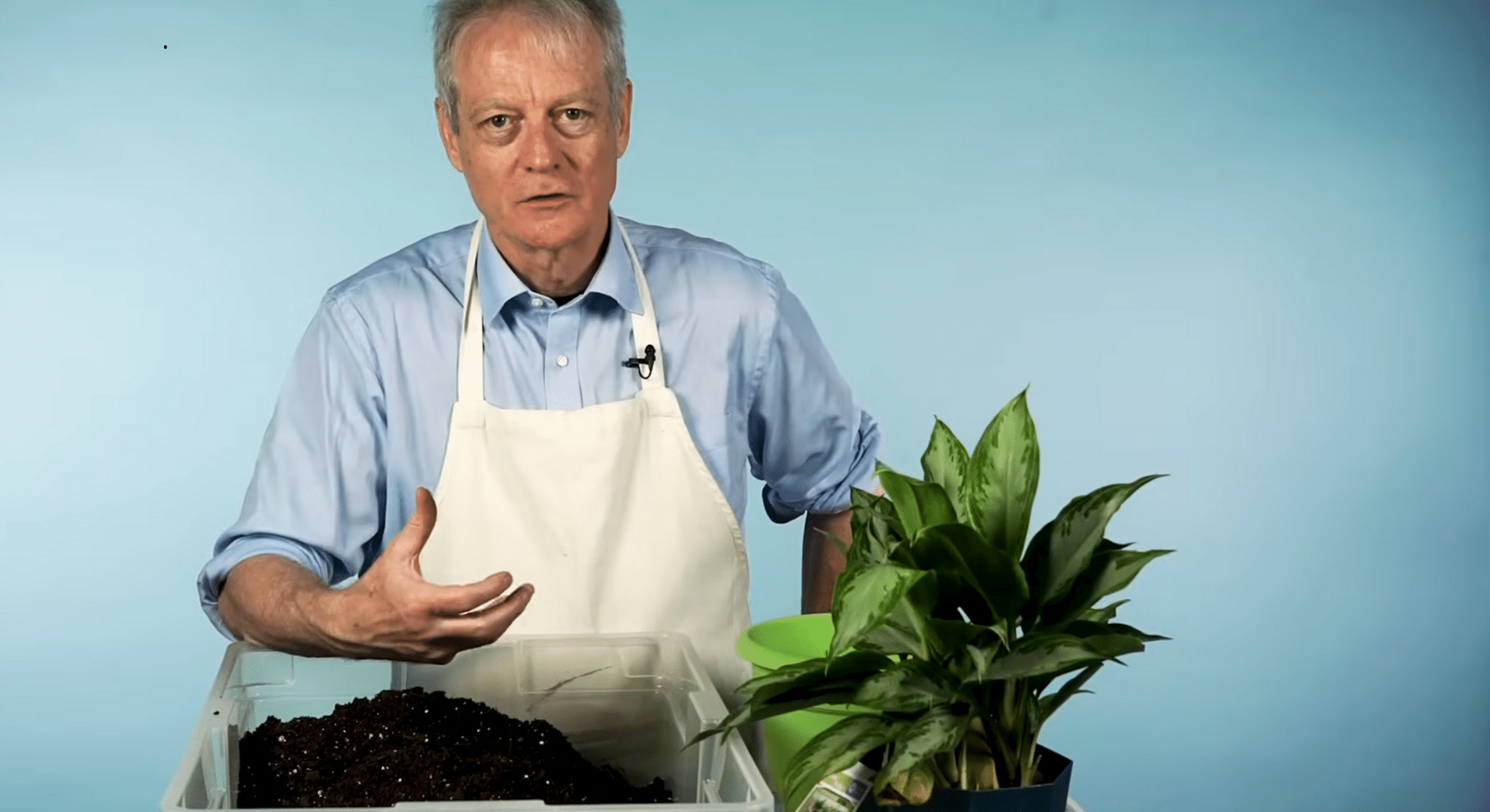 know when and why to repot