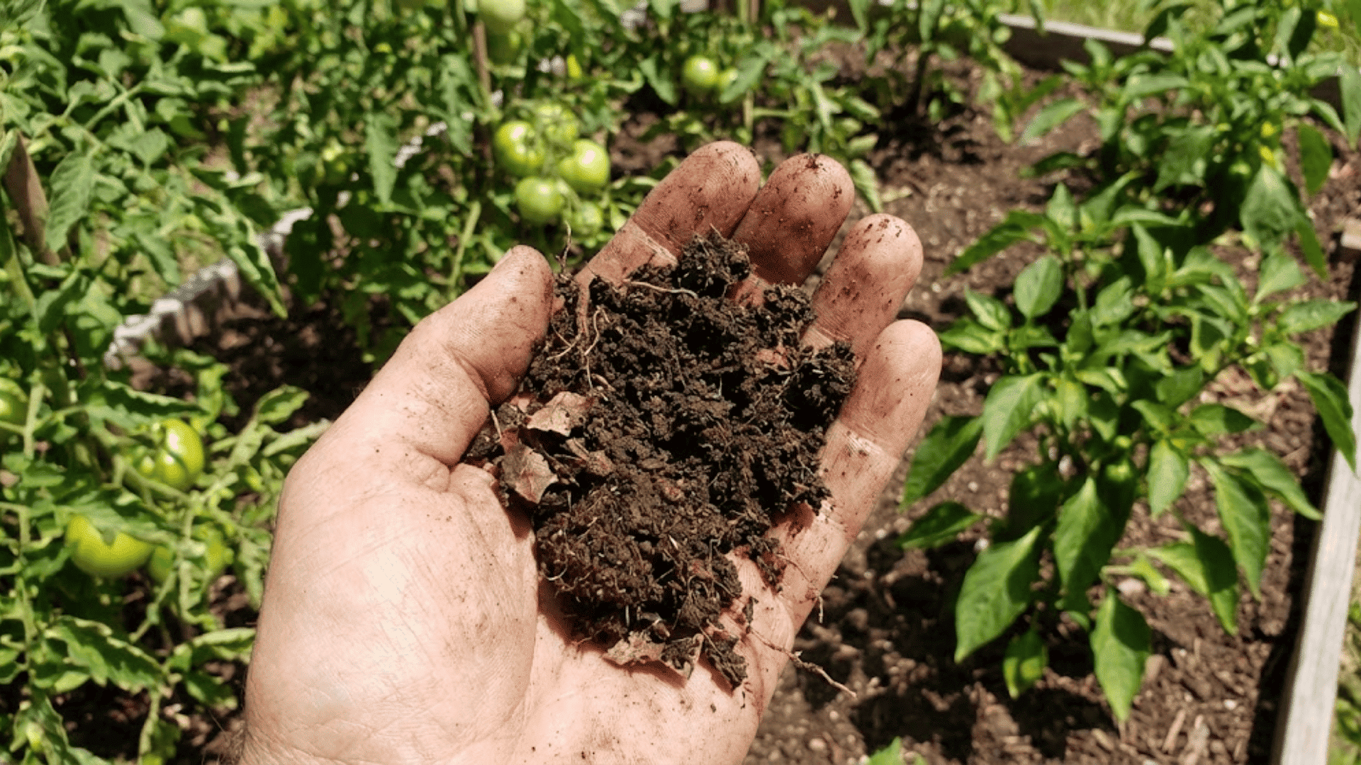 loamy soil
