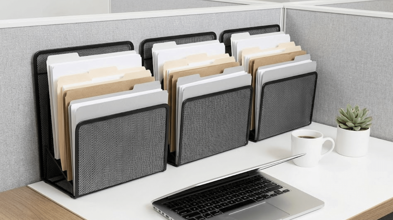 matching file holders