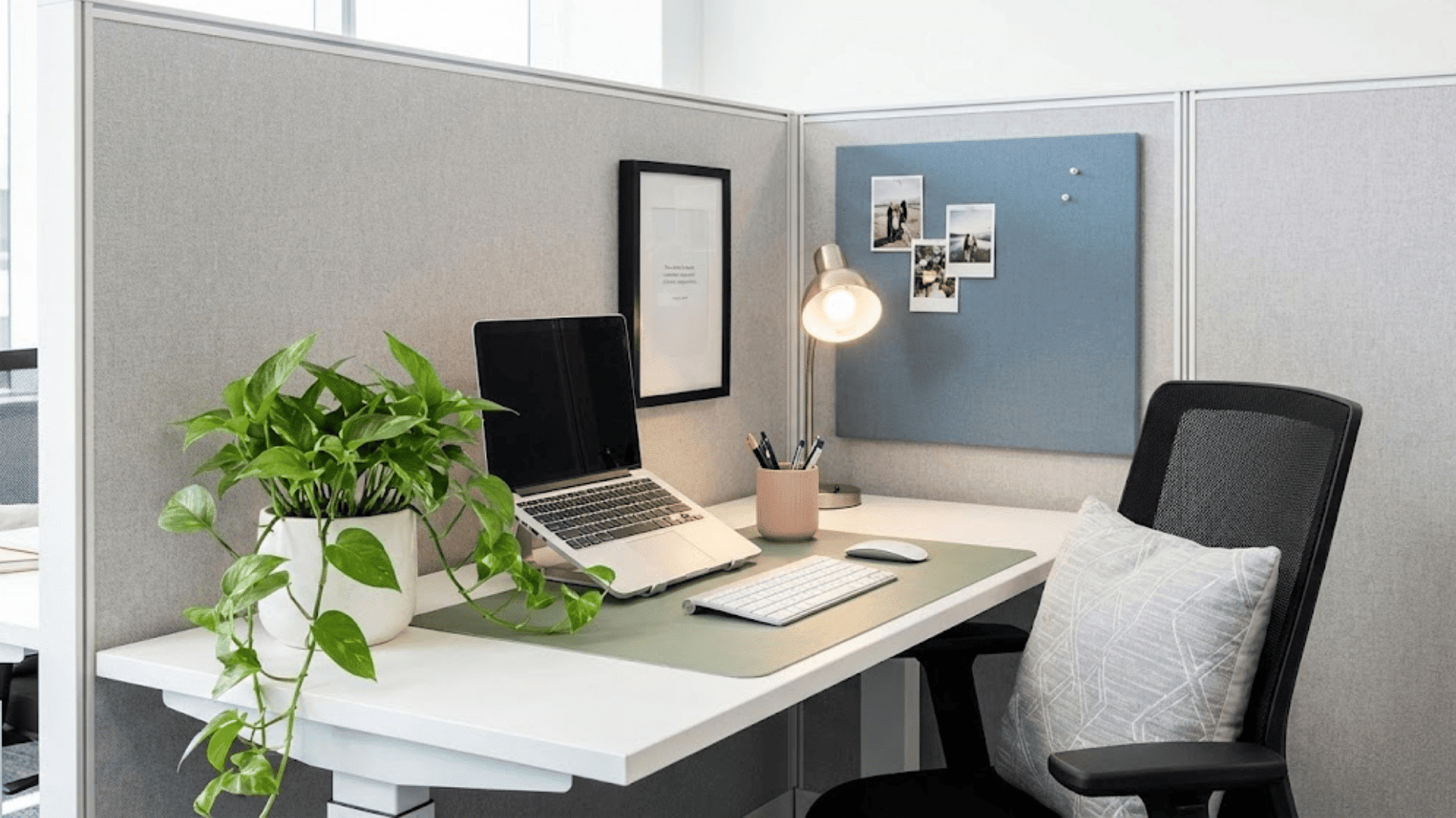 office cubicle decor ideas to refresh your workday