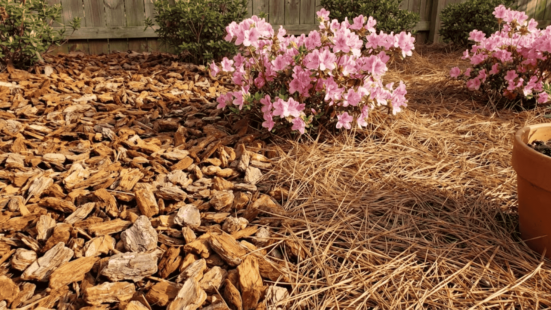 pine bark pine straw