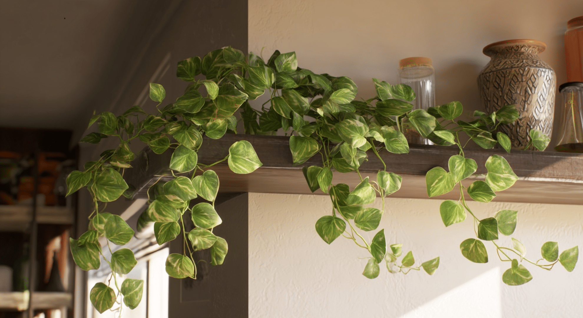 pothos plant with trailing green vines and heart-shaped leaves cascading from a hanging pot
