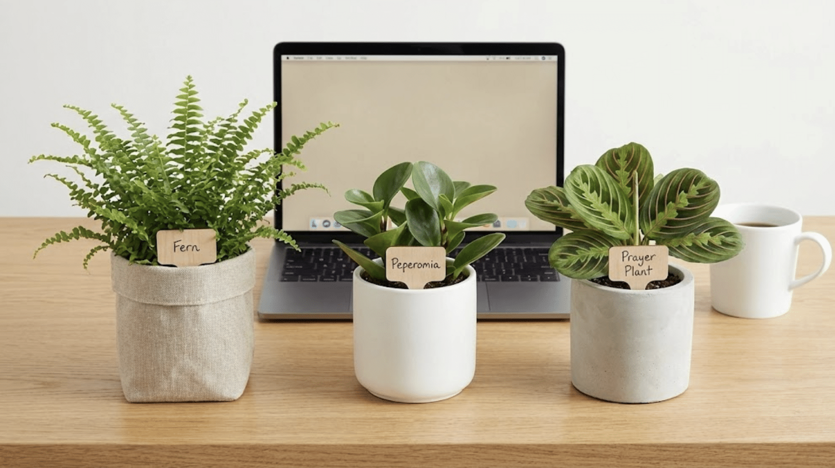 small planters with motivational tags