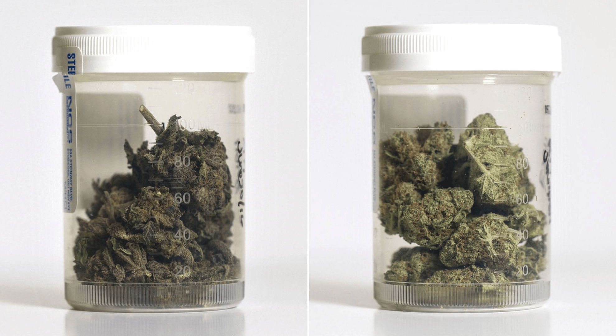 sprayed weed vs other cannabis types understanding the differences