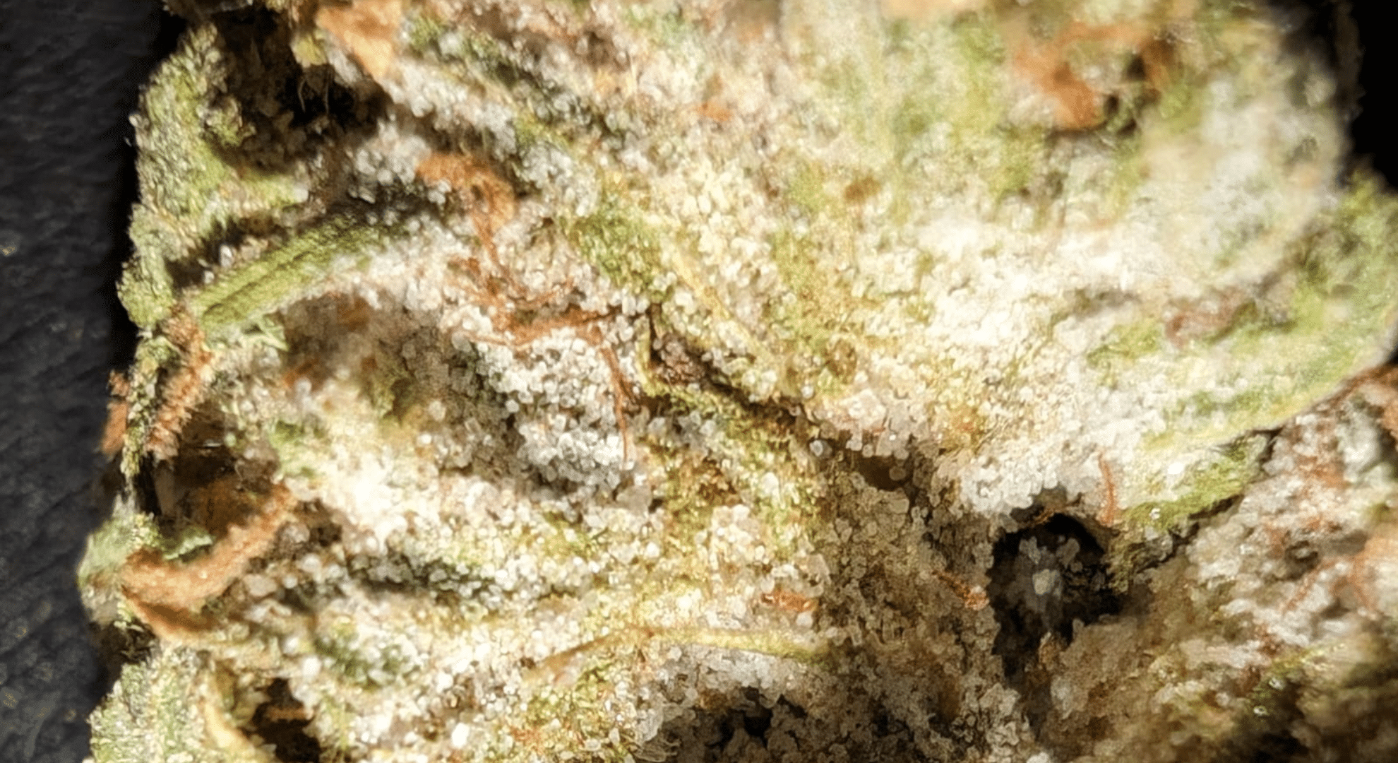 what is sprayed weed