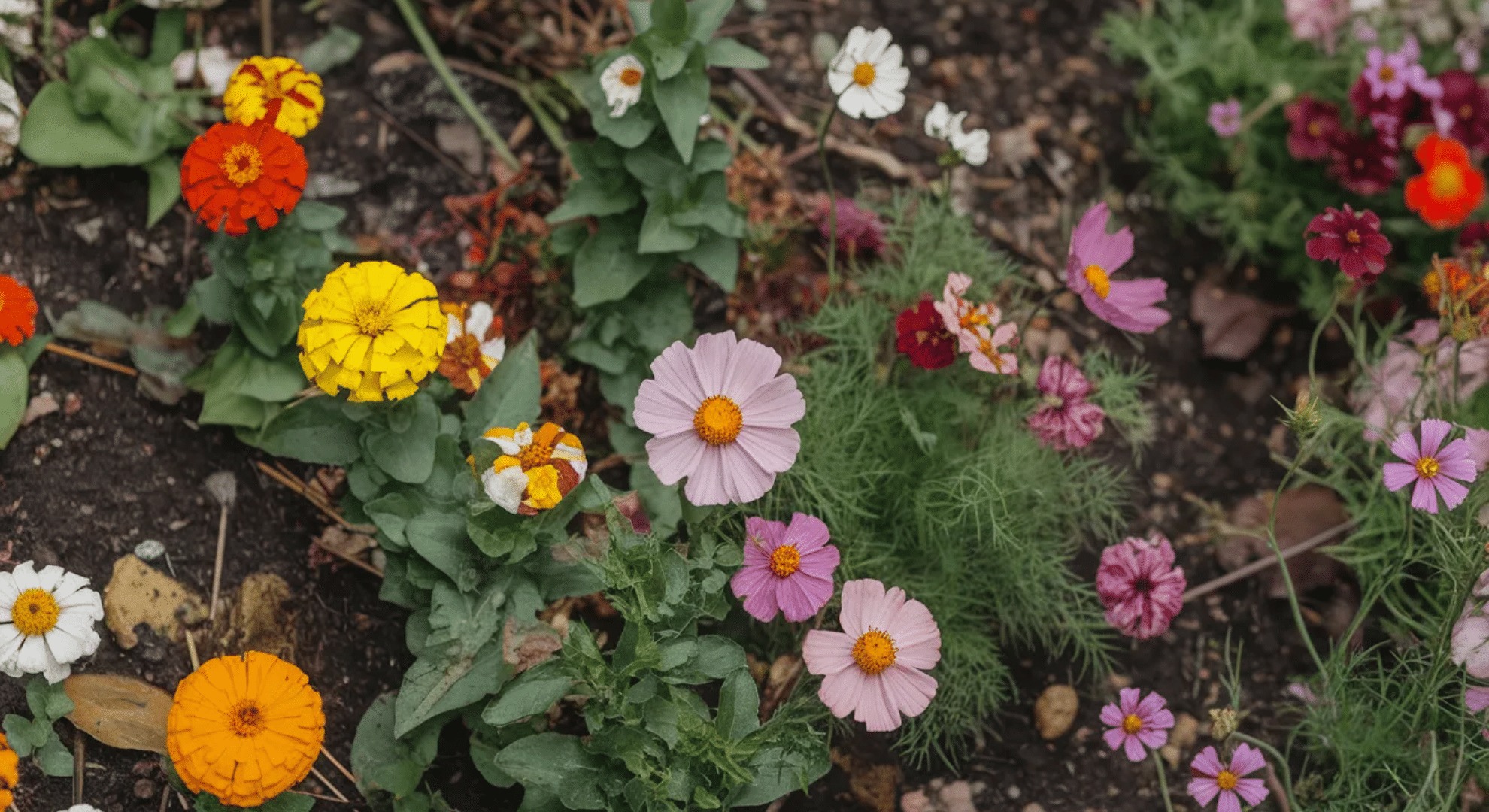 best soil for flowers