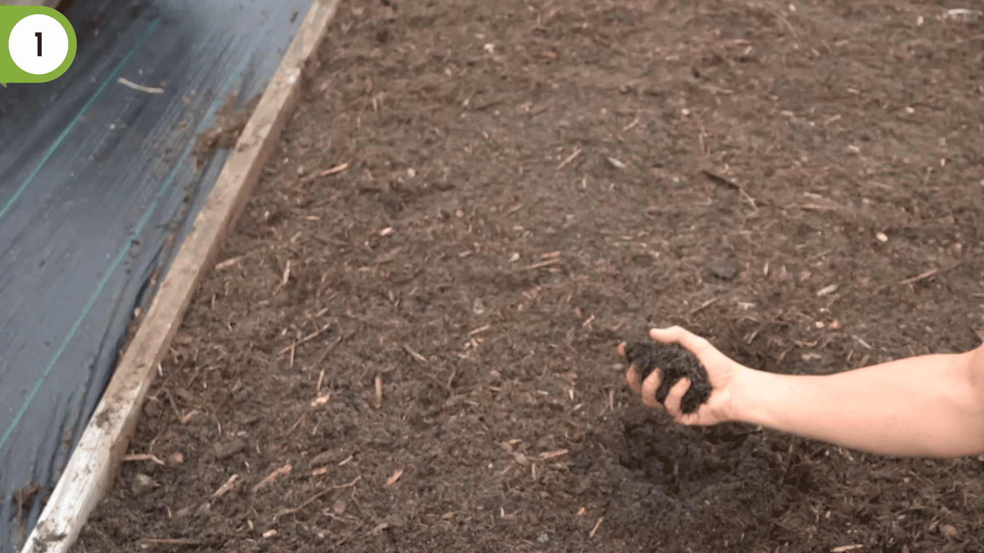 hands testing loose fluffy garden soil texture by digging fingers into prepared raised bed