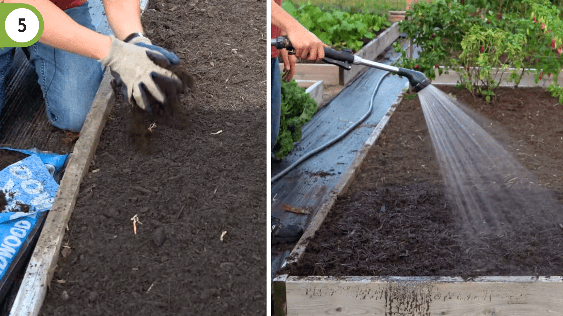 natural straw mulch layer covering planted onion sets with green tops visible through mulch