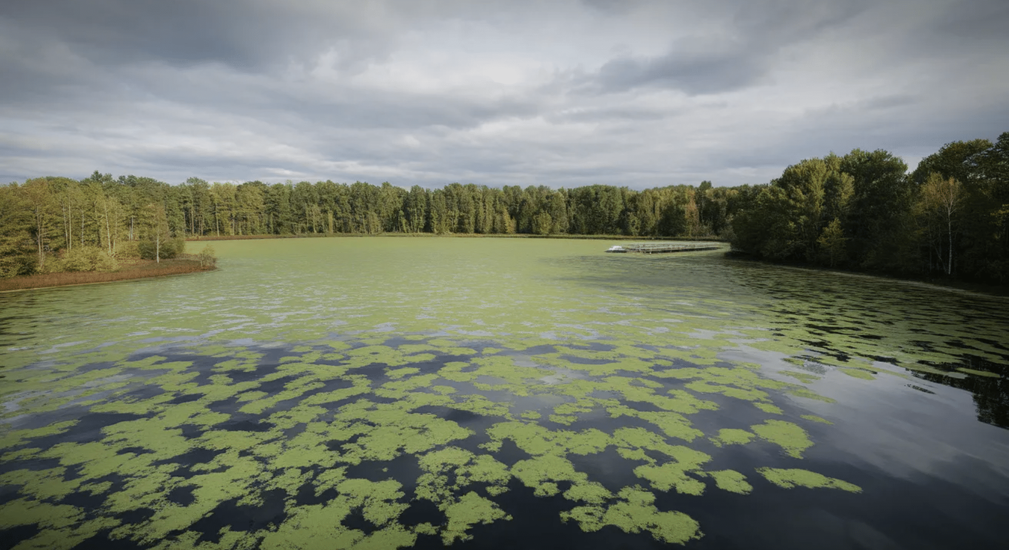 water pollution and eutrophication