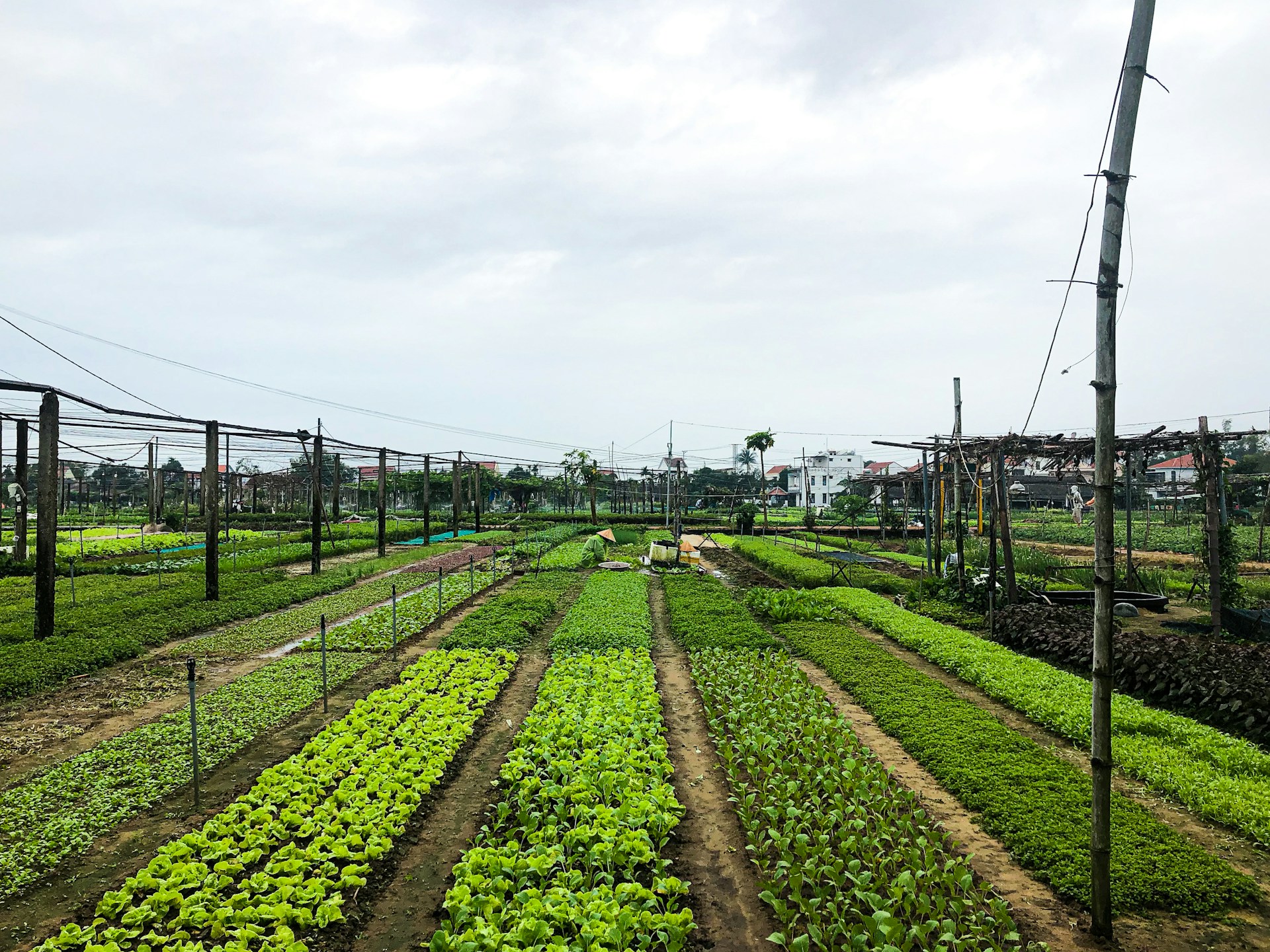 How Much Does Garden Landscaping Cost?