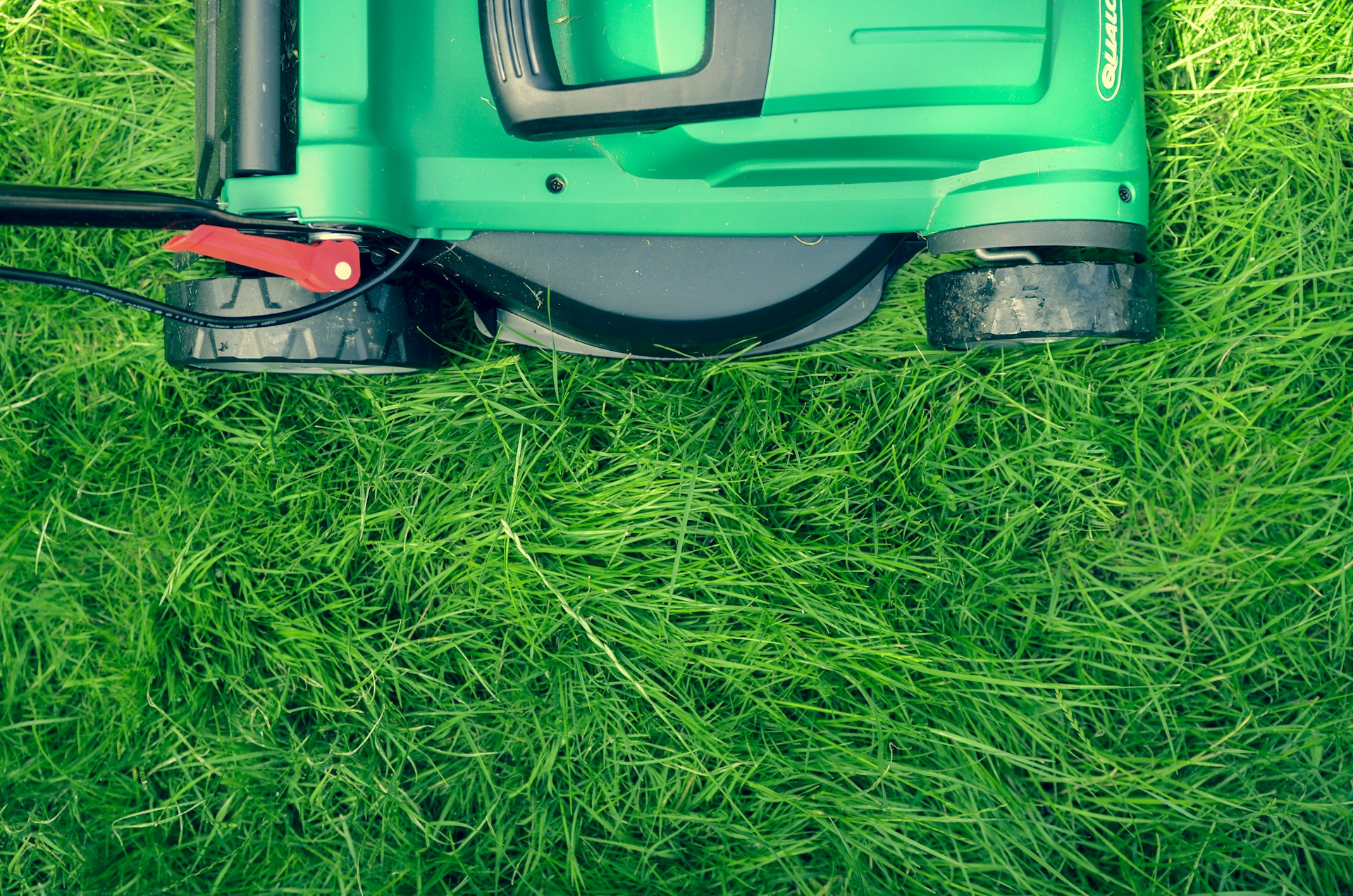 Texas Lawn Survival Guide: Smart Care Tips for Dry and Hot Weather