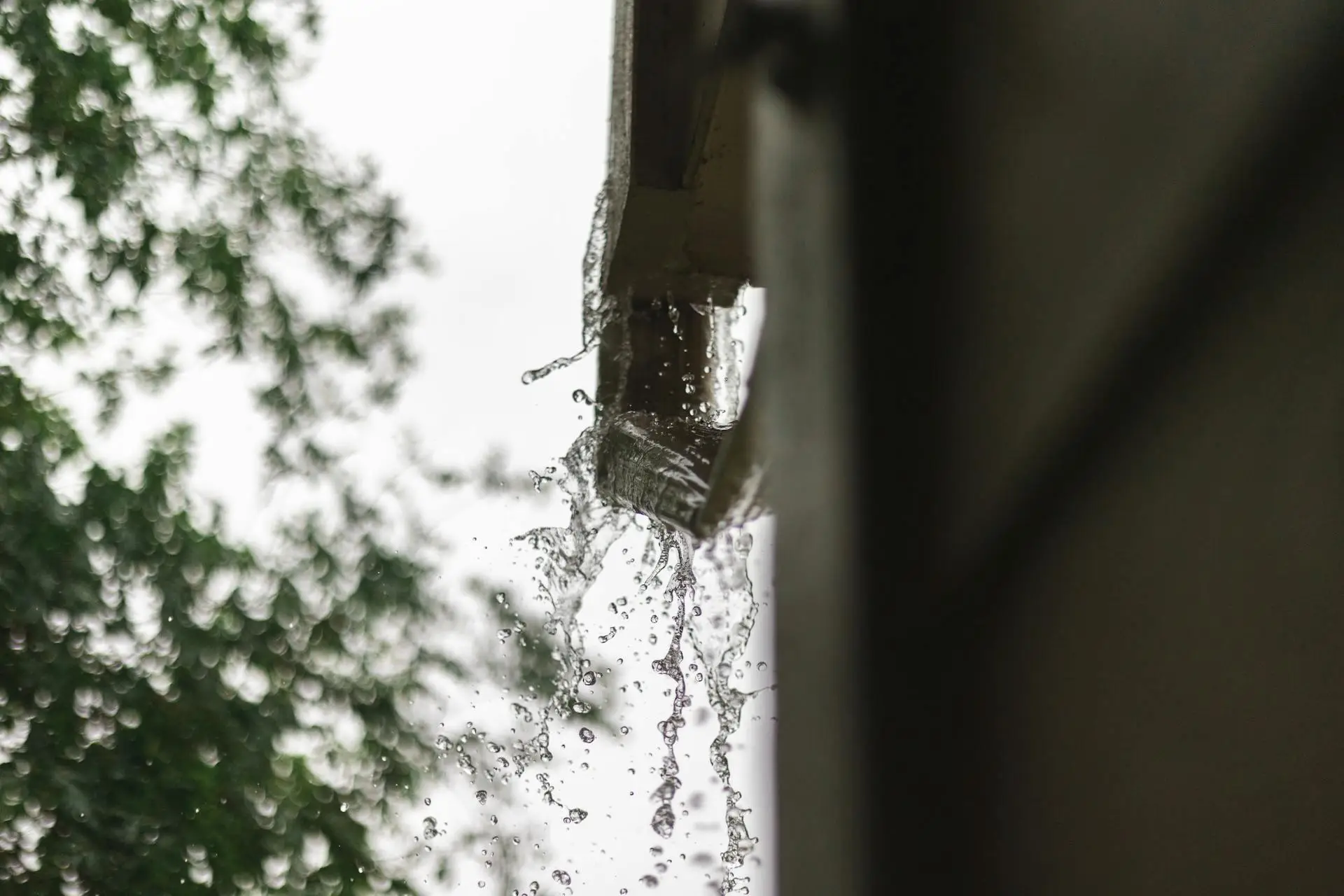 Rainwater flowing from roof gutter against blurred tree background in overcast outdoor setting