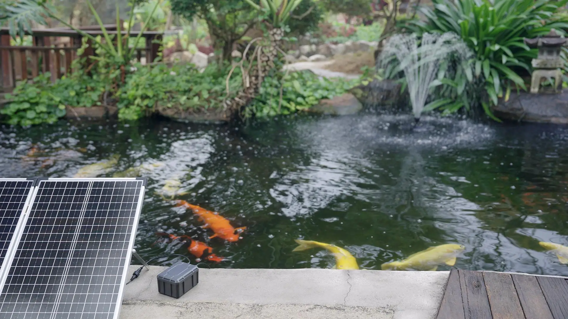 Solar panels beside koi pond with lush greenery and water fountain in garden setting