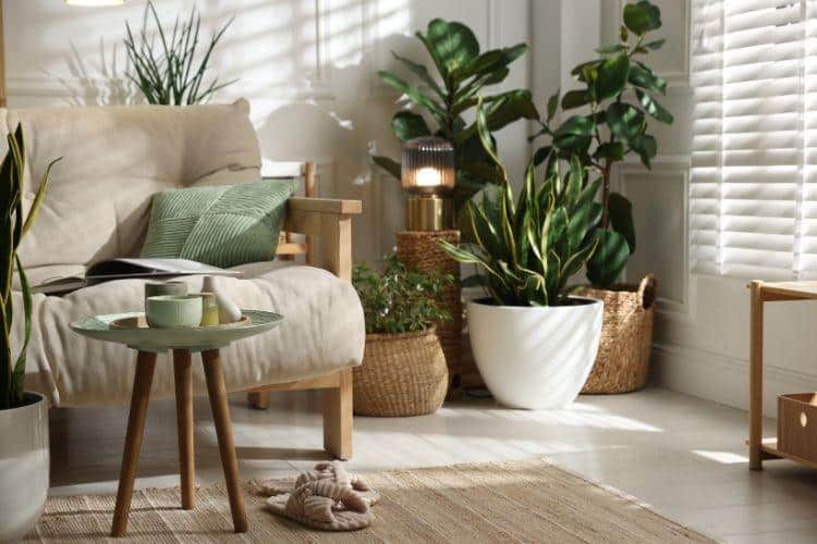 From Garden to Living Room: Creating a Home That Reflects Your Values